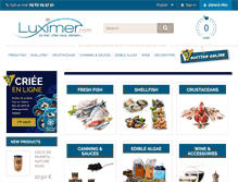 Tablet Screenshot of luximer.com